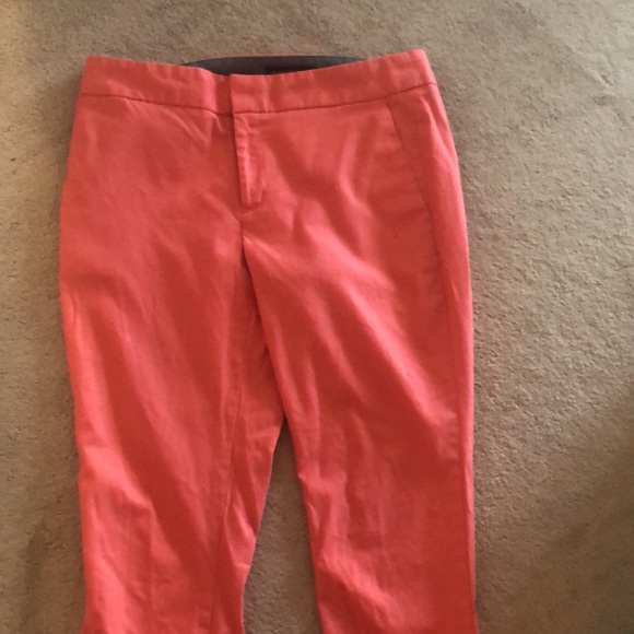 Dress Capris - Picture 2 of 2